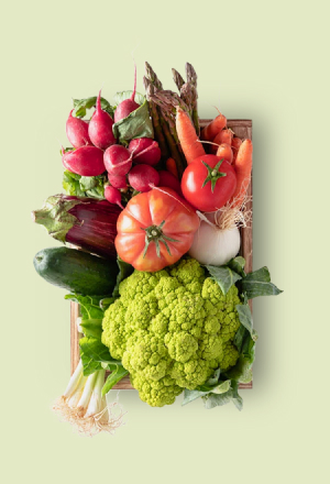 Home Vegetables 20 vg category gegetables fruits